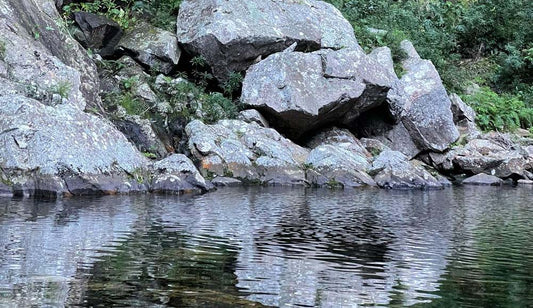 Water and Wellness - hydria