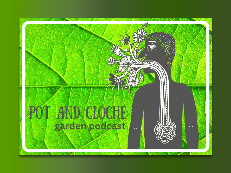 Hydria Life on the Pot and Cloche Podcast - hydria