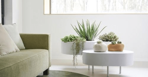 Biophilic Design - hydria