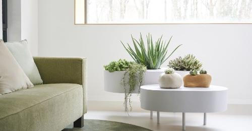Biophilic Design