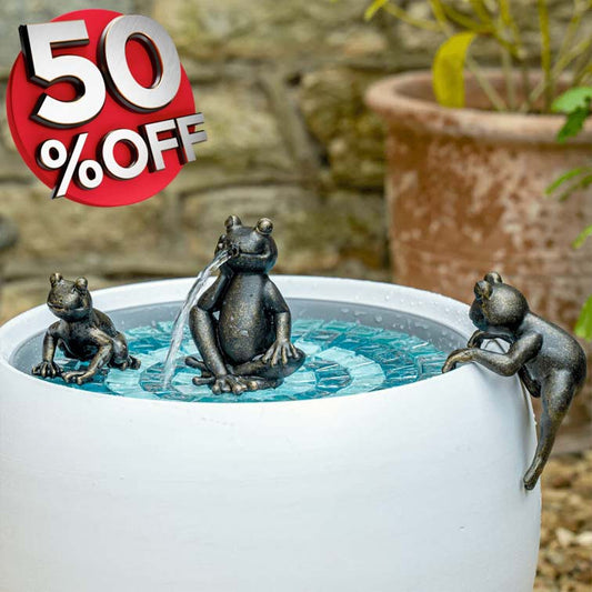 Bronze Frog Family