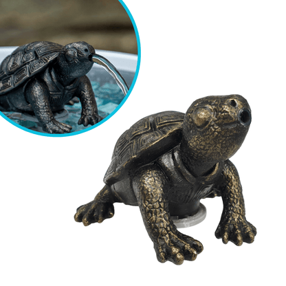 Tobi The Turtle - hydria