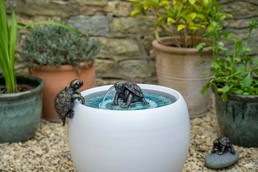 TONIE THE CLIMBING TURTLE FIGURINE - hydria