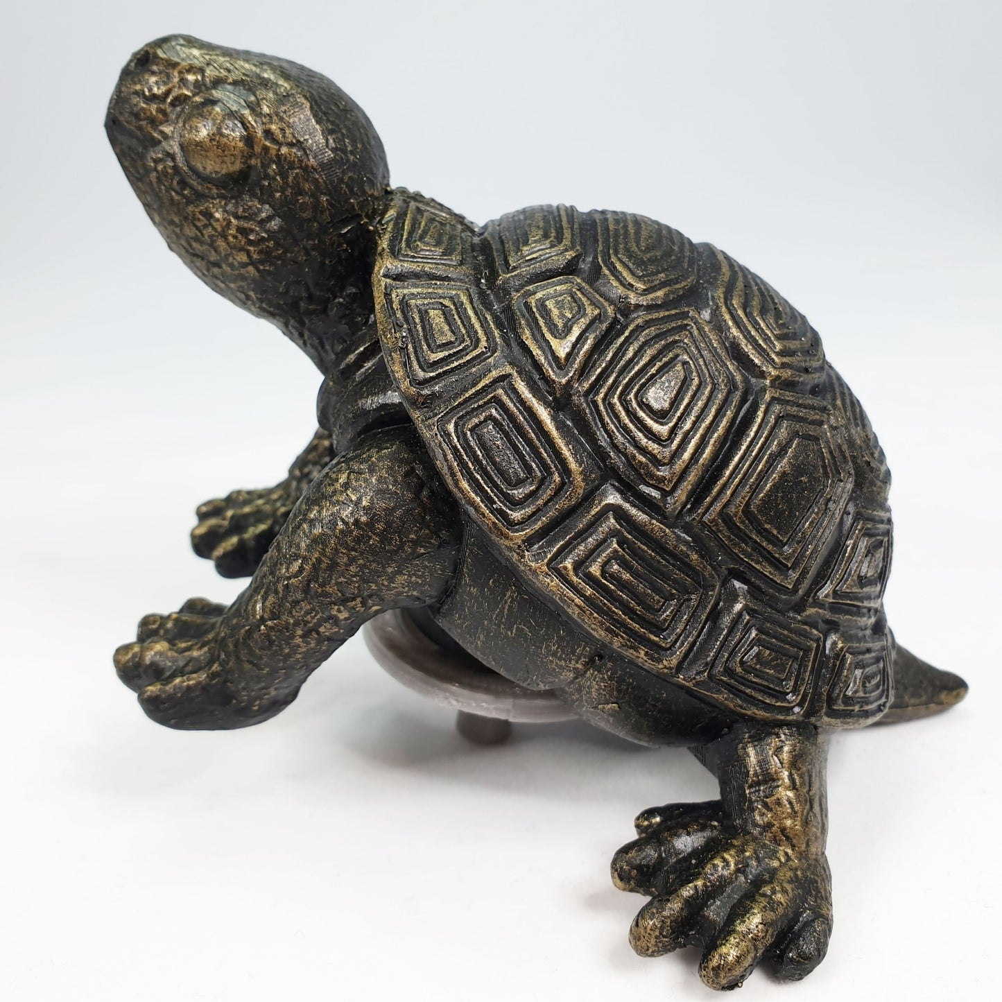 Tobi The Turtle - hydria