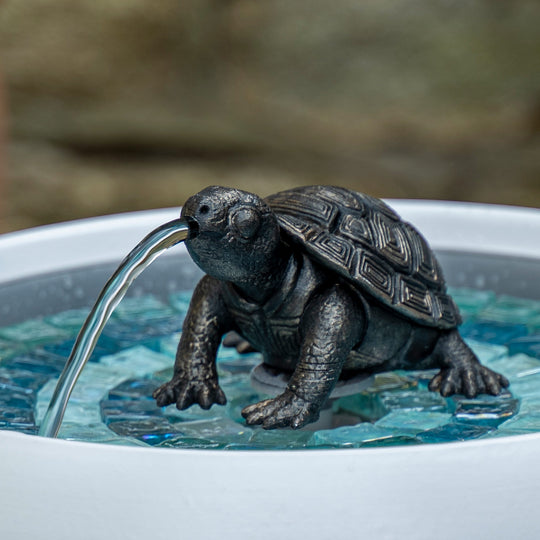 Tobi The Turtle - hydria