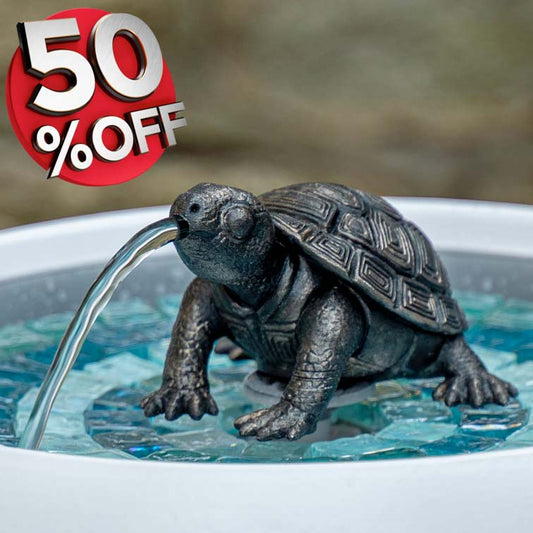 Tobi The Turtle