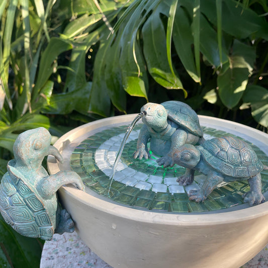 Verdigris Turtle Family